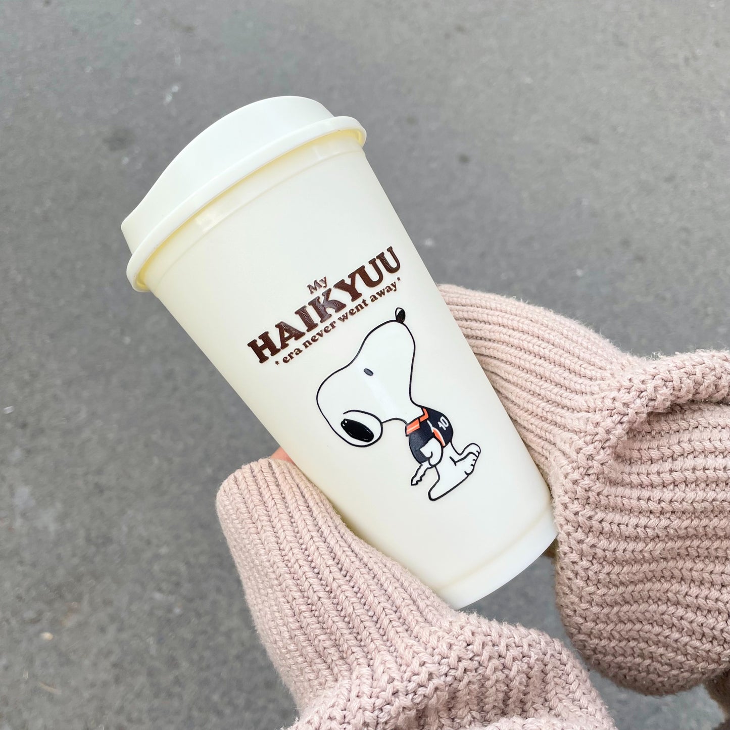 Snoopy x Haikyuu Cup