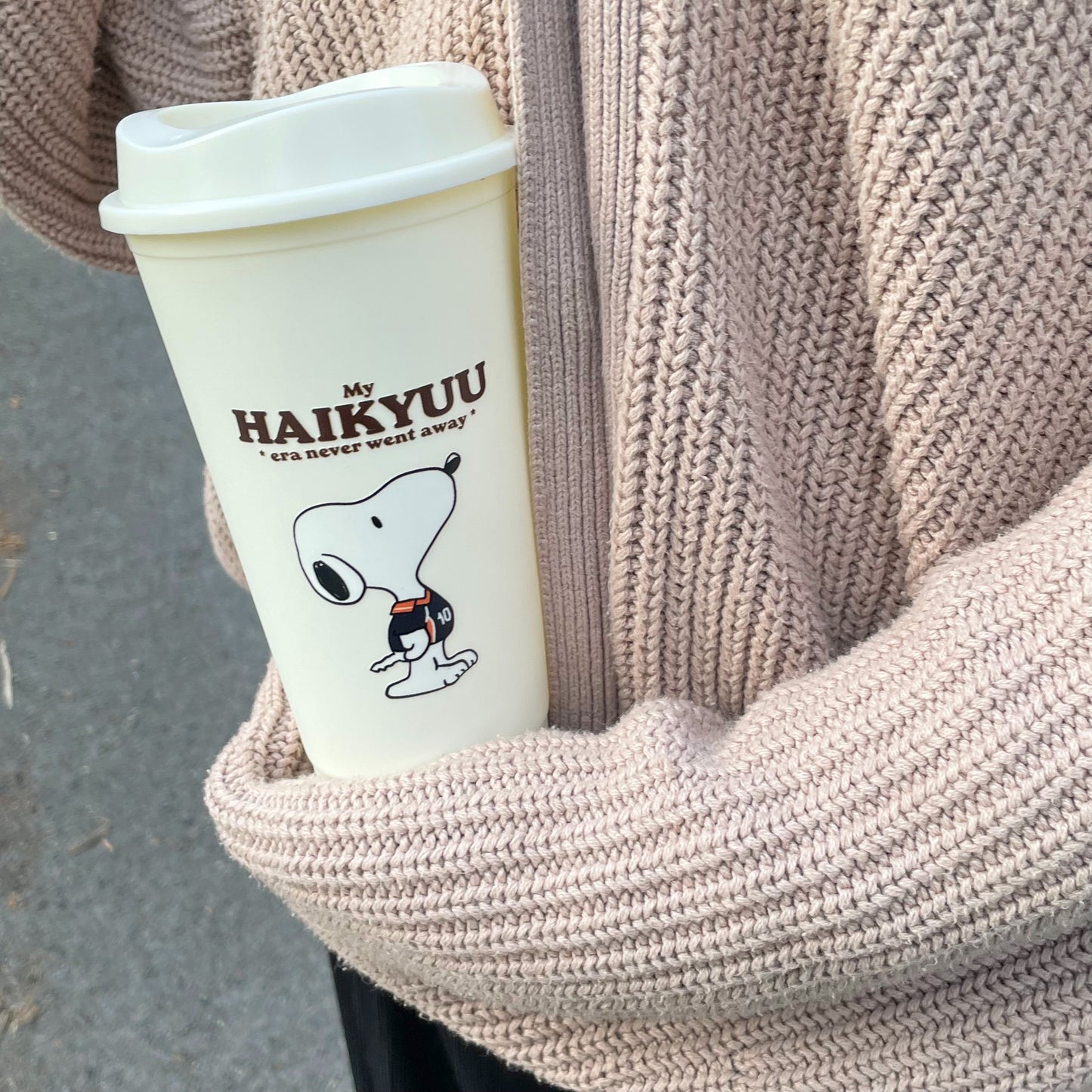 Snoopy x Haikyuu Cup