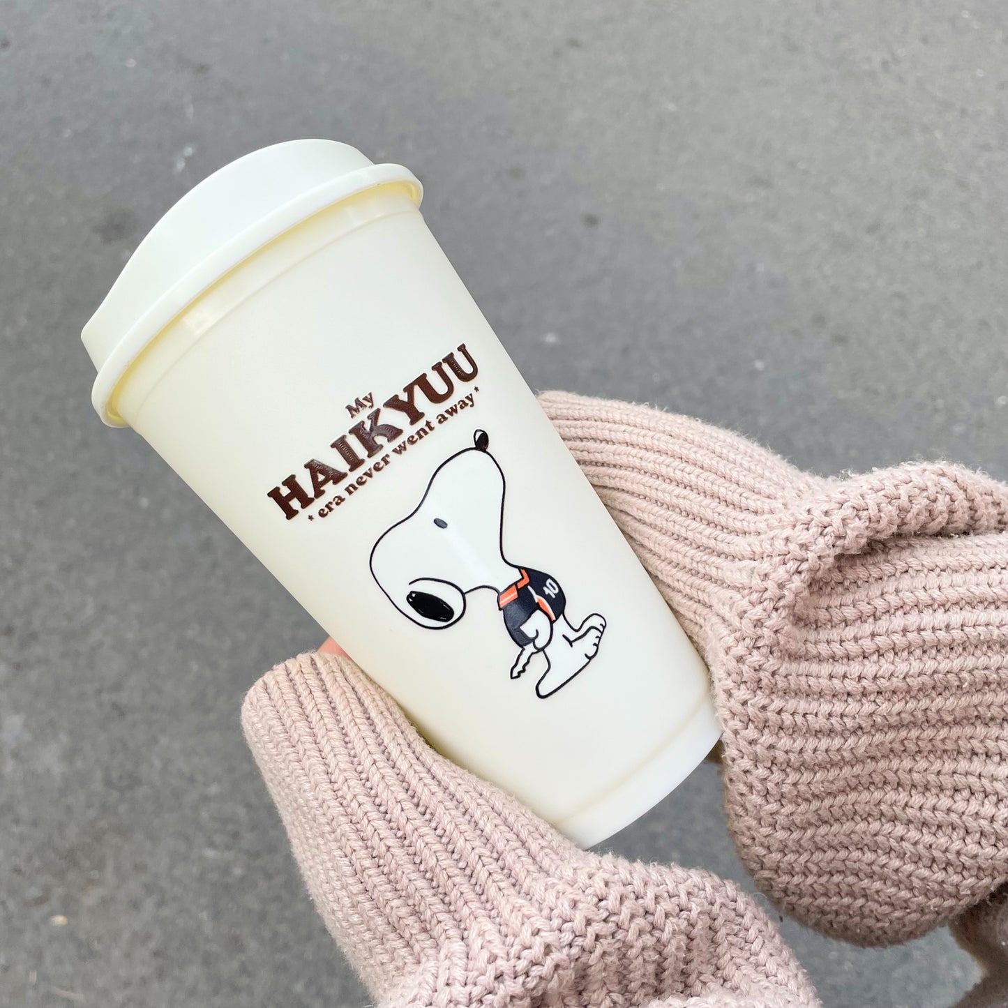 Snoopy x Haikyuu Cup