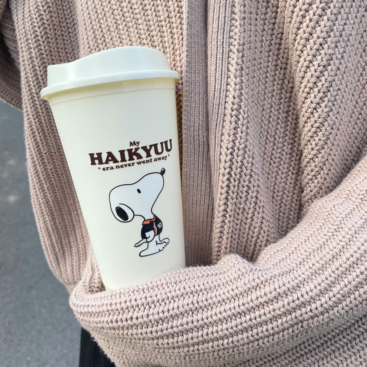 Snoopy x Haikyuu Cup