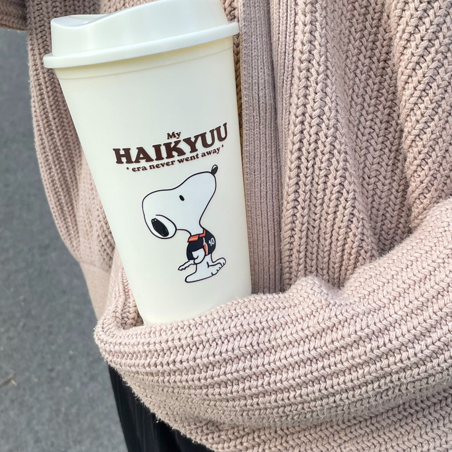 Snoopy x Haikyuu Cup